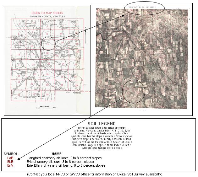 soil type map.JPG